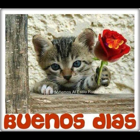 Meet your Posher, Linda - Picture 1 of 1